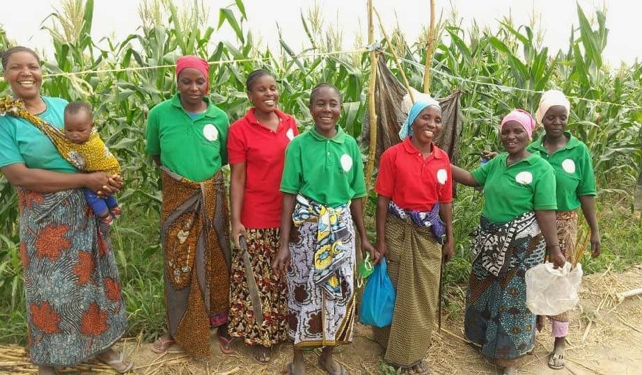 A group of seven smiling women, each wearing either a red or green shirt, standing together in front of a cornfield. One woman on the left is holding a baby. The women are wearing patterned skirts and headscarves, depicting a vibrant and lively scene.